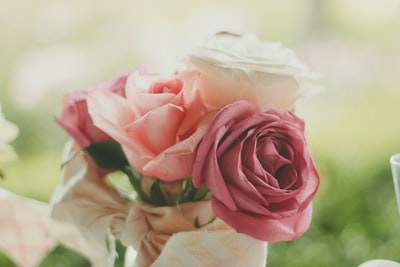 粉色和白色玫瑰特写摄影